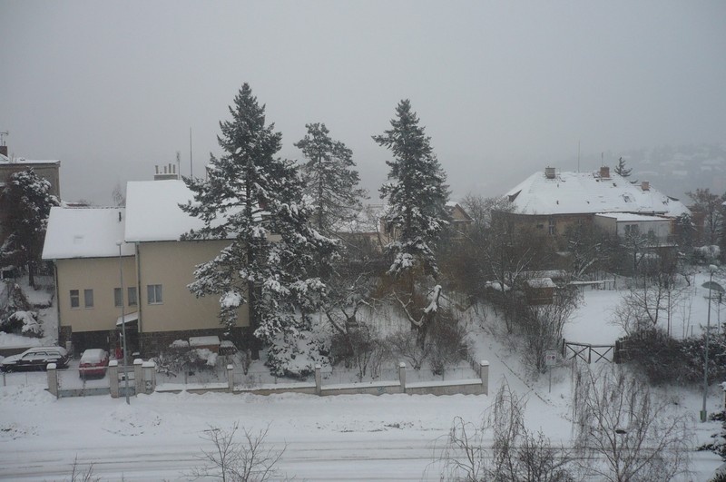 Zima leden 2010 013.jpg